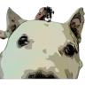 Cashrab