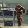 willowbankbear