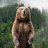 Grizzly_Bear